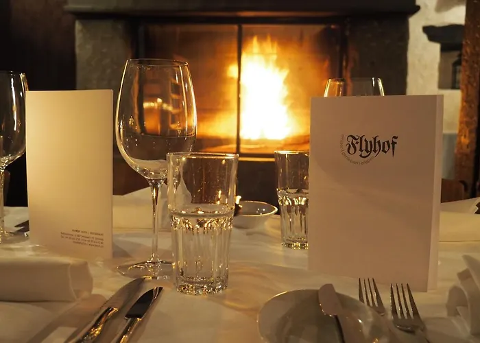 فندق فلايهوف ويسن